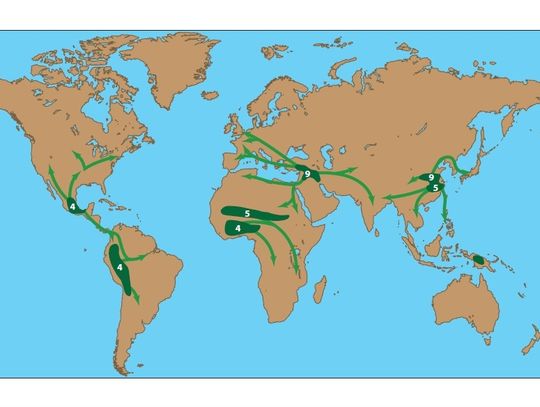 Agriculture's spread worldwide